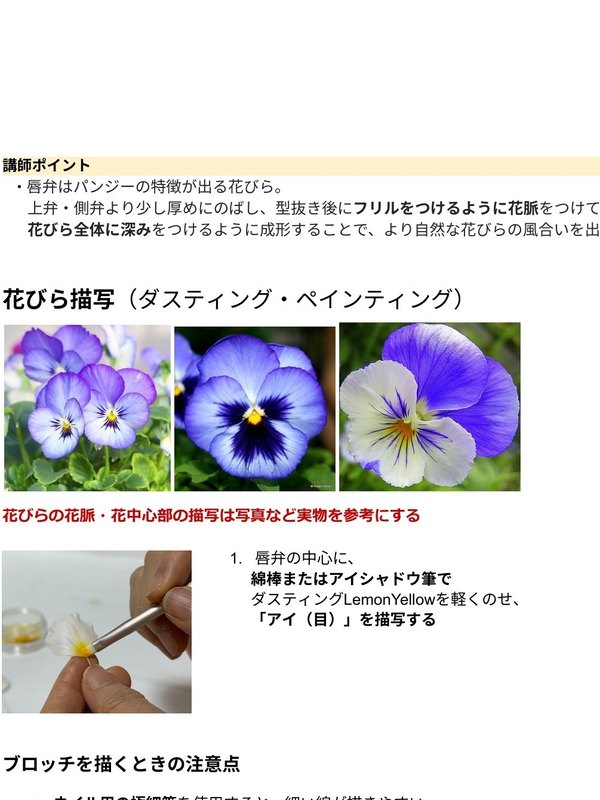講師用のテキストの見本（講師ポイントの囲みがあるページ）